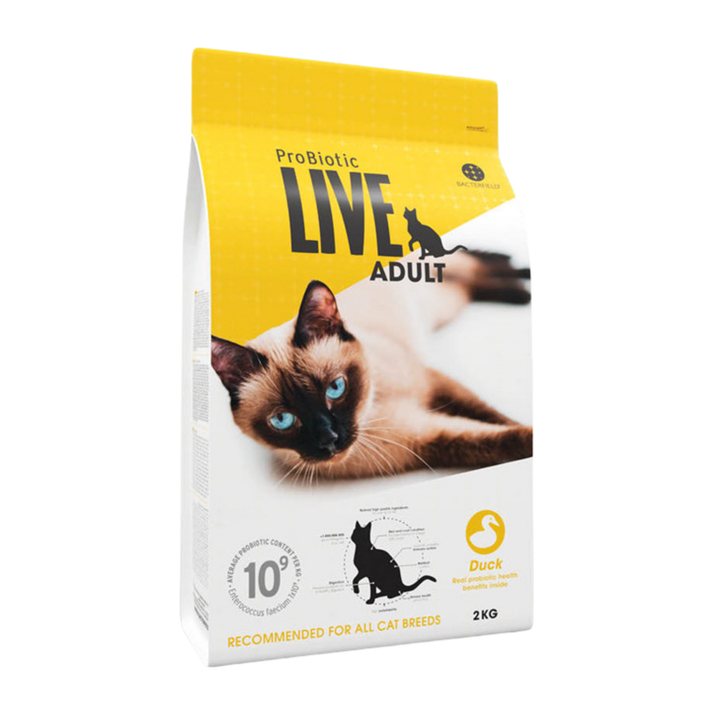 LIVE - Kat voksen m/and 2kg