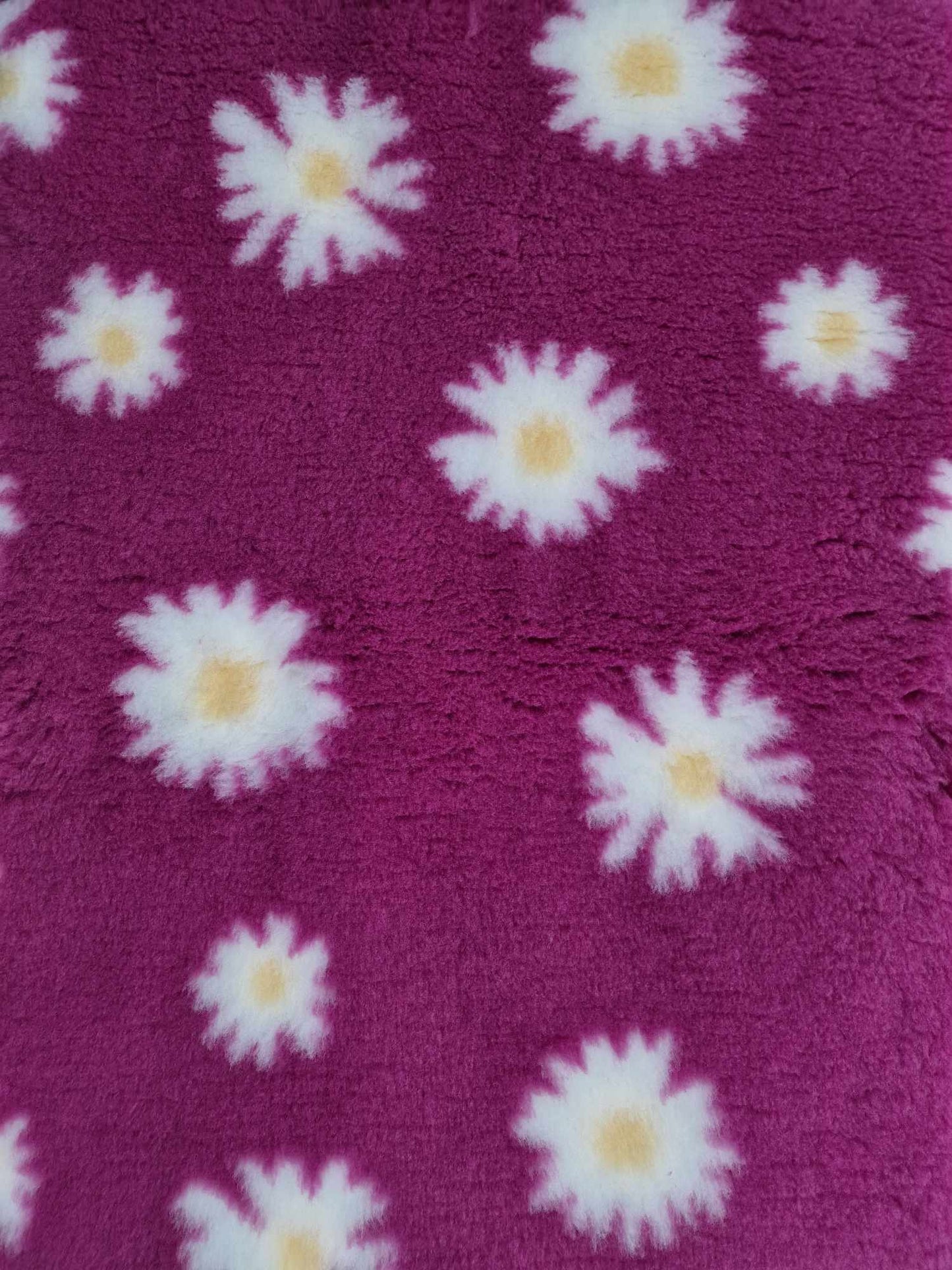 Vetbed marguerit flere varianter