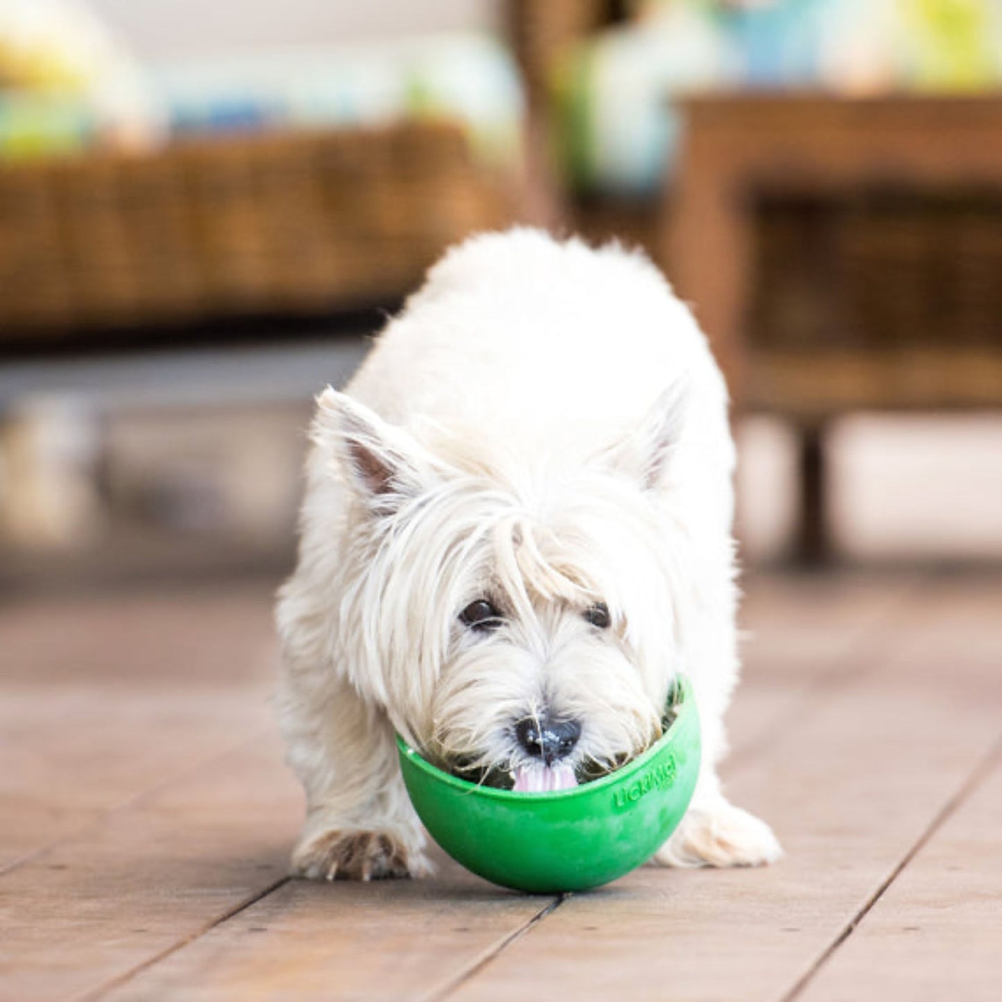 LickiMat Wobble slowfeeder - flere farver