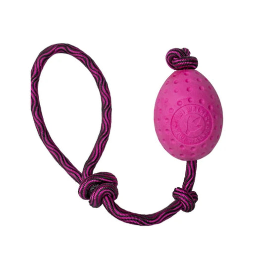 Kiwi Walker Let’s Play EGG - Flere Farver