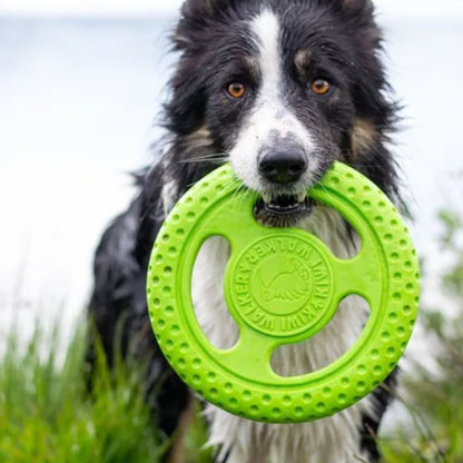 Kiwi Walker Frisbee - Flere Varianter