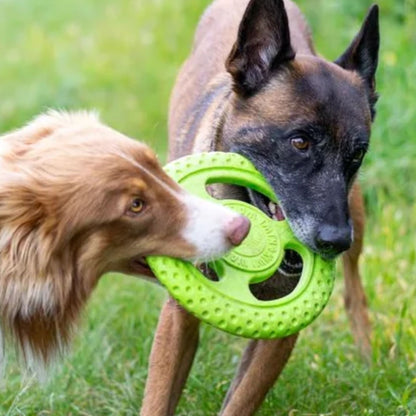 Kiwi Walker Frisbee - Flere Varianter