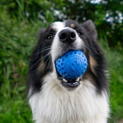 Kiwi Walker Ball - Flere Varianter