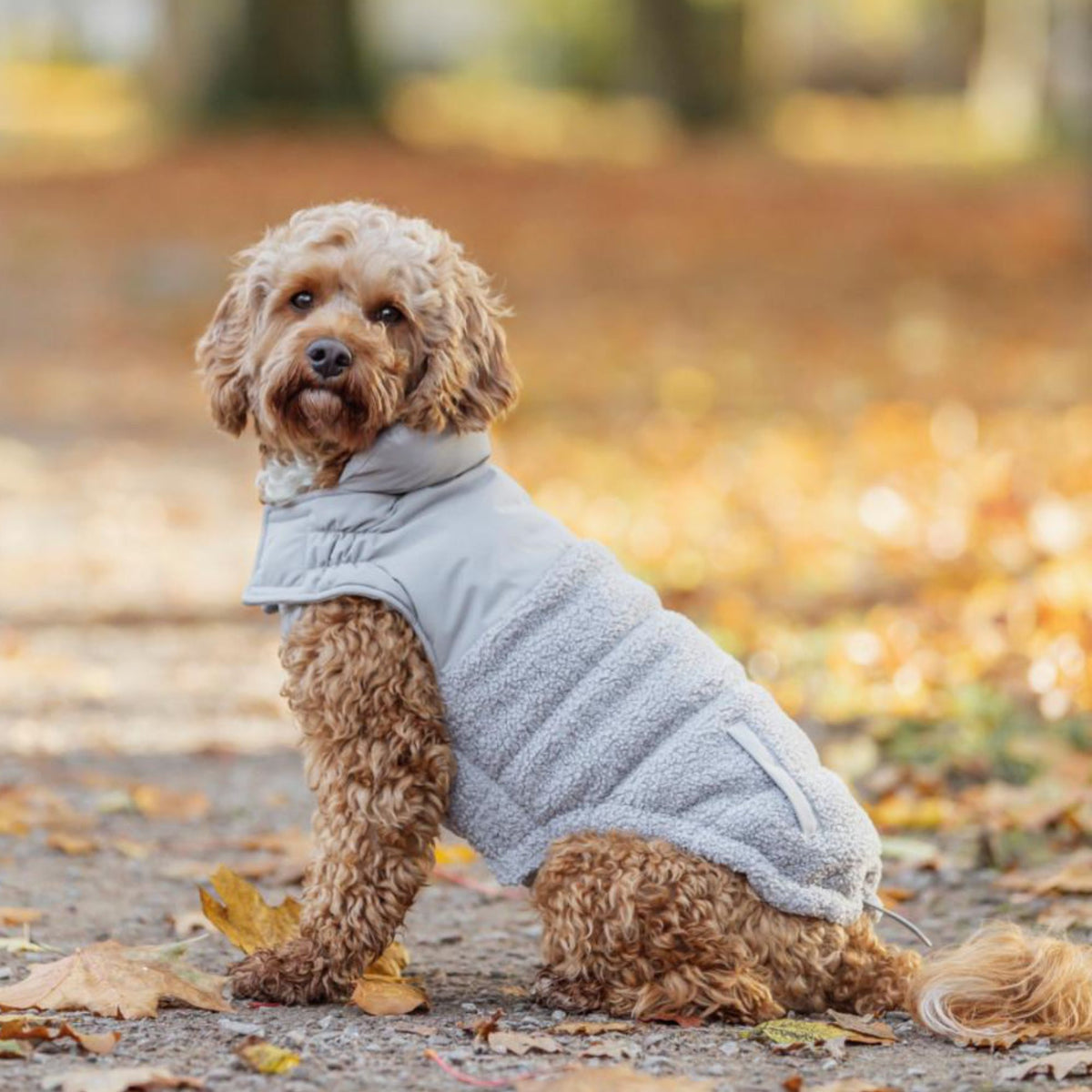 Trixie Ajou Vinter Hundejakke - Flere Varianter