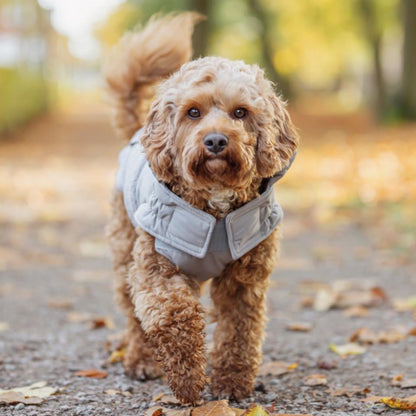 Trixie Ajou Vinter Hundejakke - Flere Varianter