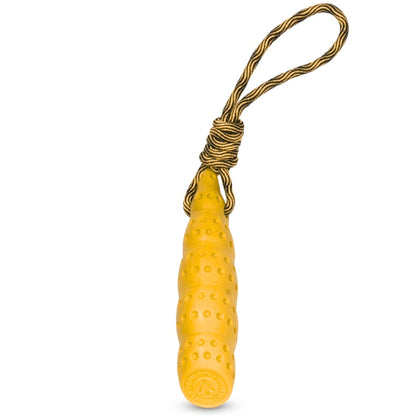 Kiwi Walker Seashell - Flere Varianter