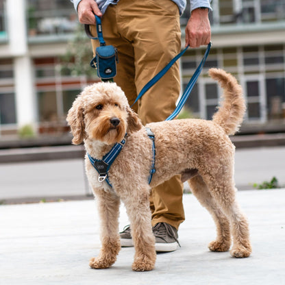 Dog Copenhagen Comfort Walk Air hundesele