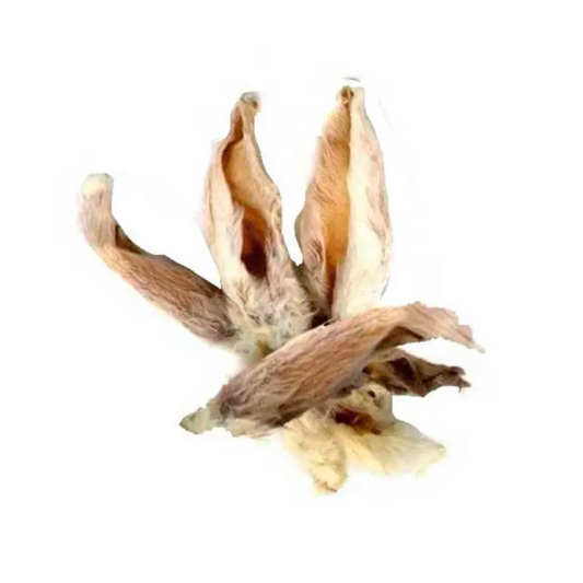 Kaninøre med pels