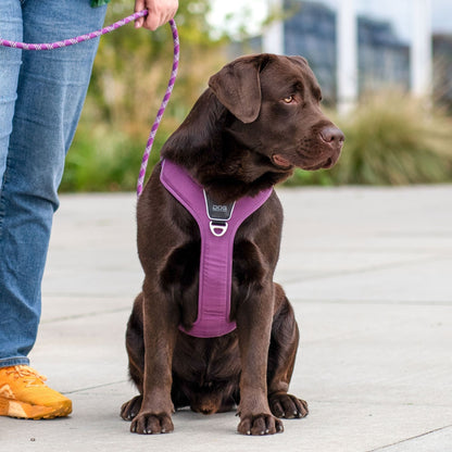 DOG Copenhagen Comfort Walk Pro™ Sele - Flere Varianter