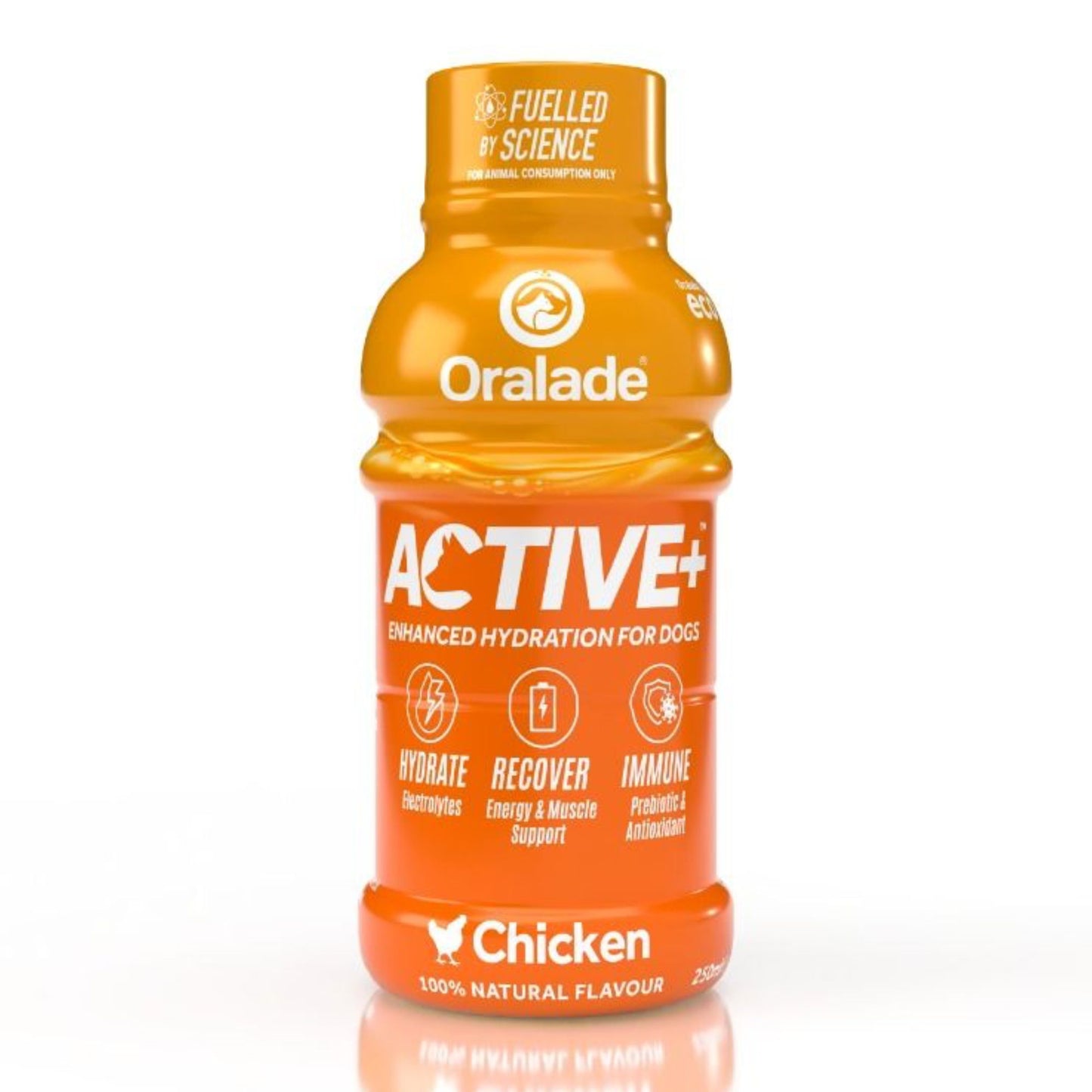 Oralade Active kylling - 250ml