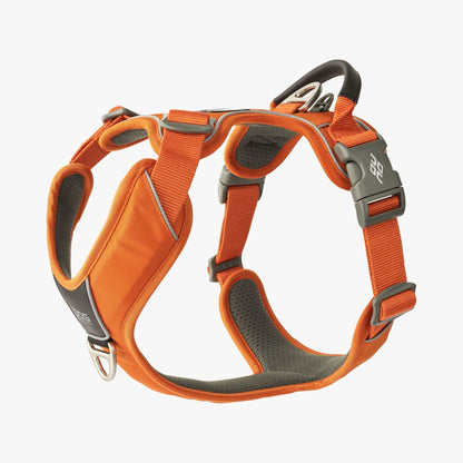 DOG Copenhagen Comfort Walk Pro™ Sele - Flere Varianter