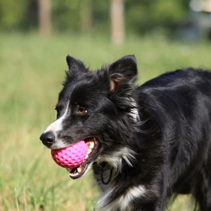 Kiwi Walker Ball - Flere Varianter